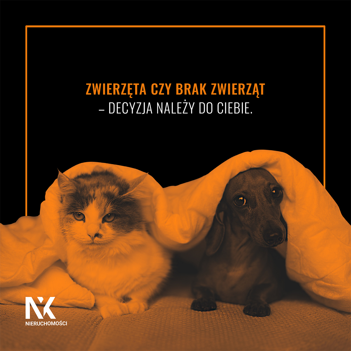 Zwierzęta Czy Brak Zwierząt?